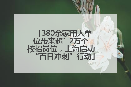 380余家用人单位带来超1.2万个校招岗位，上海启动“百日冲刺”行动