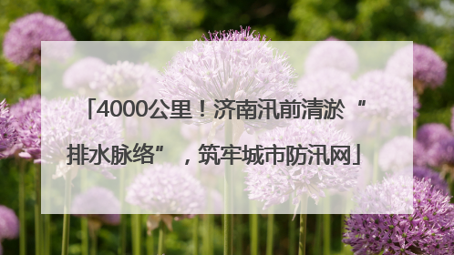 4000公里！济南汛前清淤“排水脉络”，筑牢城市防汛网