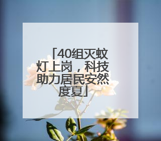 40组灭蚊灯上岗，科技助力居民安然度夏