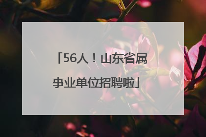 56人！山东省属事业单位招聘啦