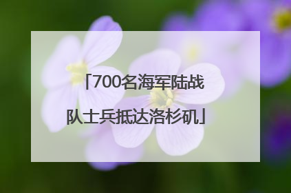 700名海军陆战队士兵抵达洛杉矶