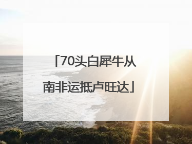 70头白犀牛从南非运抵卢旺达