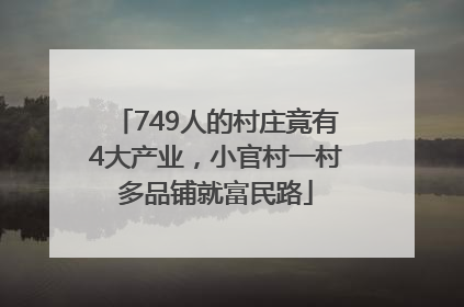 749人的村庄竟有4大产业，小官村一村多品铺就富民路