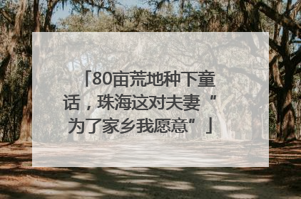 80亩荒地种下童话，珠海这对夫妻“为了家乡我愿意”