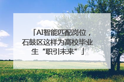 AI智能匹配岗位，石鼓区这样为高校毕业生“职引未来”