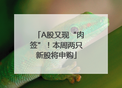 A股又现“肉签”！本周两只新股将申购