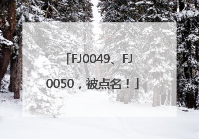 FJ0049、FJ0050，被点名！