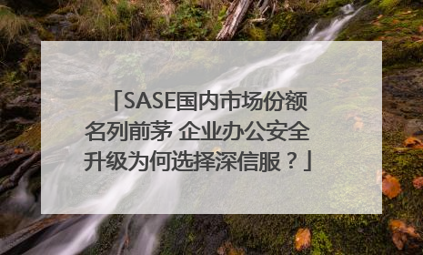 SASE国内市场份额名列前茅 企业办公安全升级为何选择深信服？