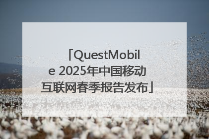 QuestMobile 2025年中国移动互联网春季报告发布